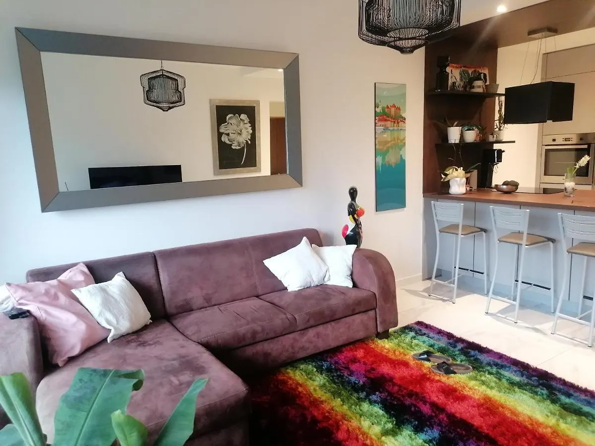 Appartement Des Cygnes Annecy France