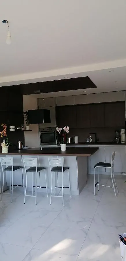 Appartement Des Cygnes Annecy 0*,