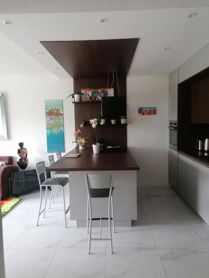 Appartement Des Cygnes Annecy France