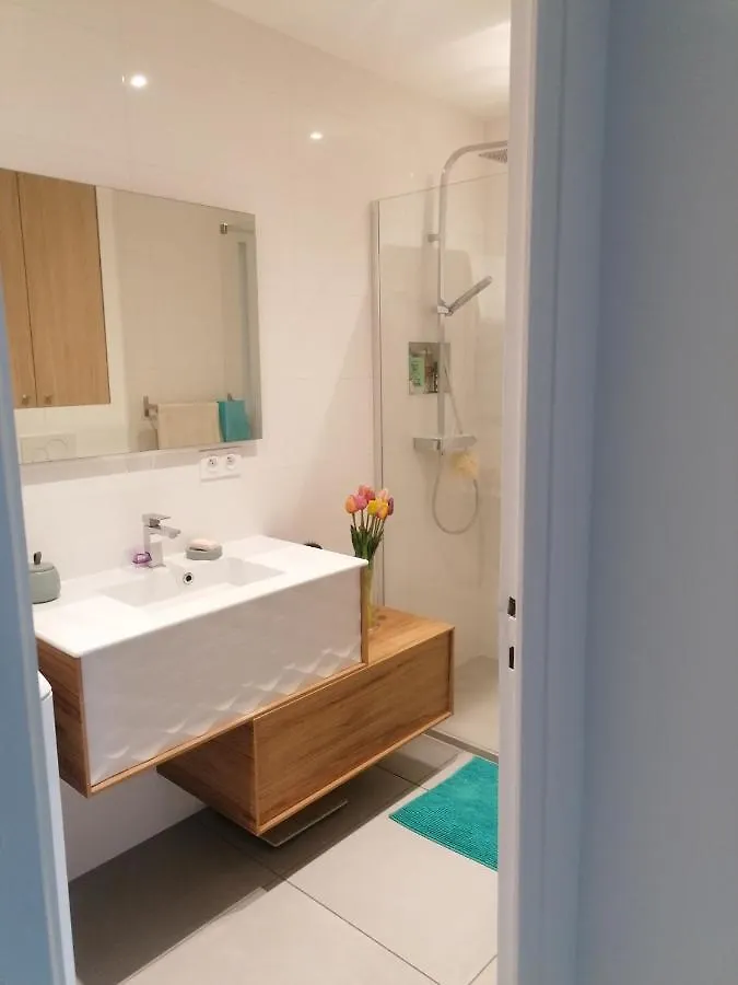 Appartement Des Cygnes Annecy Apartment