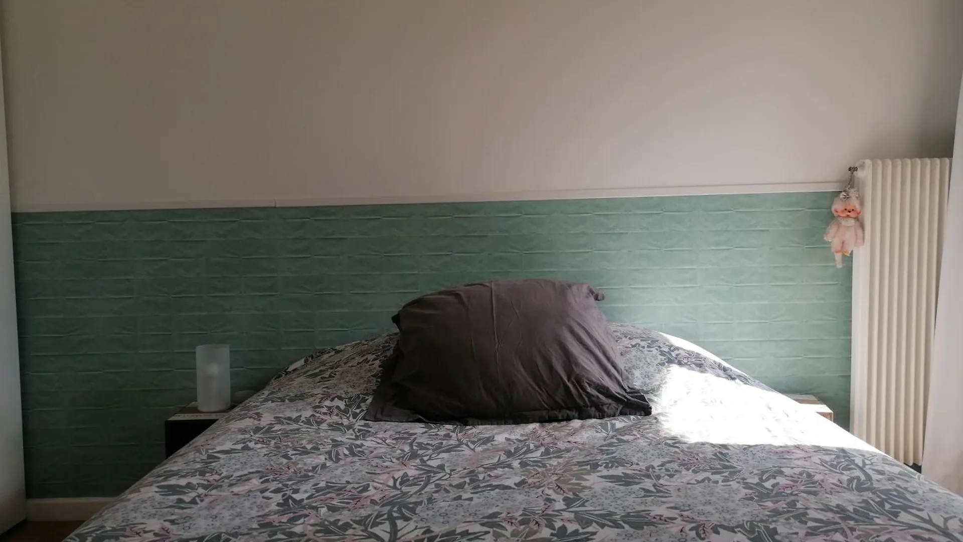 Apartment Appartement Des Cygnes Annecy